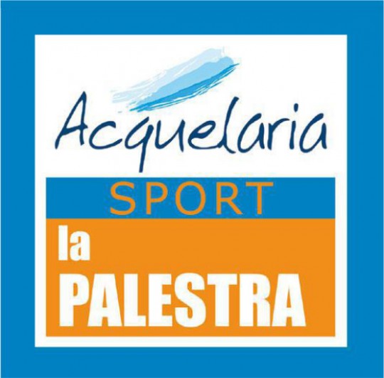 logo palestra