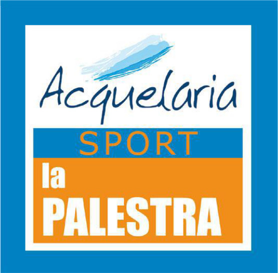 logo palestra